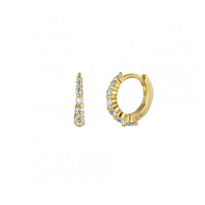 créoles vermeil et zircons dégradés